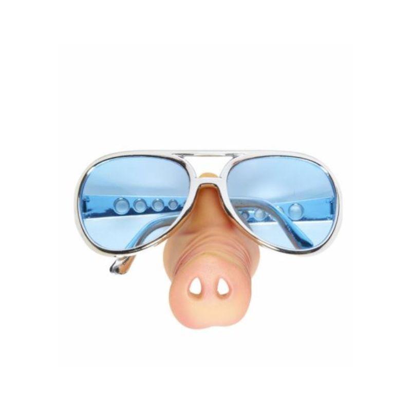 Glasses with Pig Nose