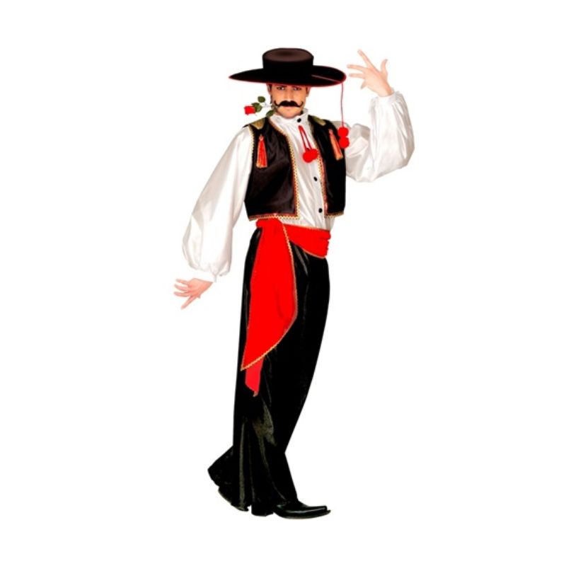 Flamenco Dancer