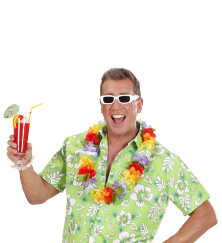 SINGER GLASSES