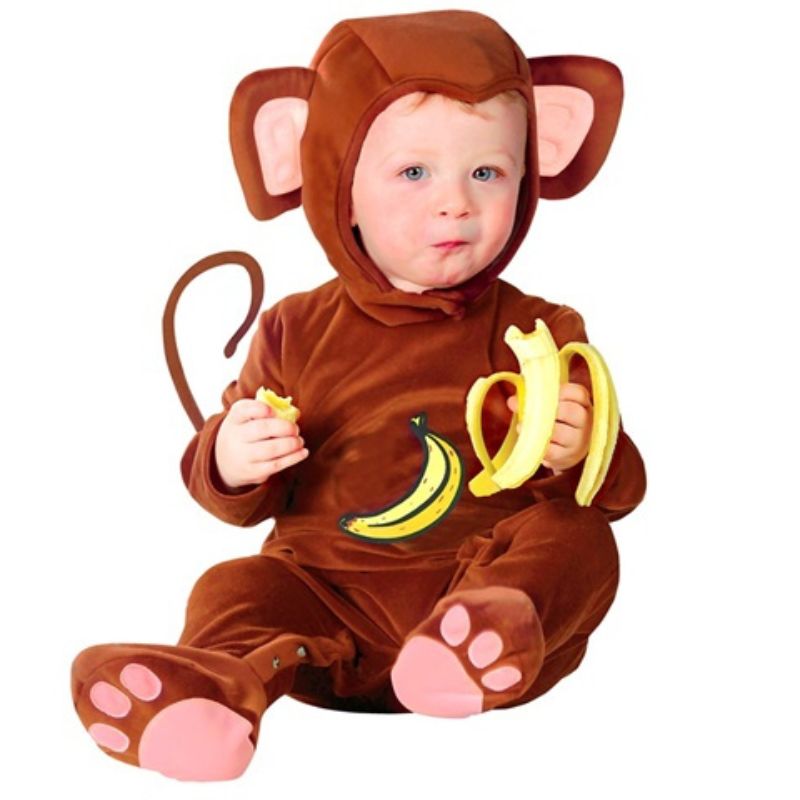 Monkey