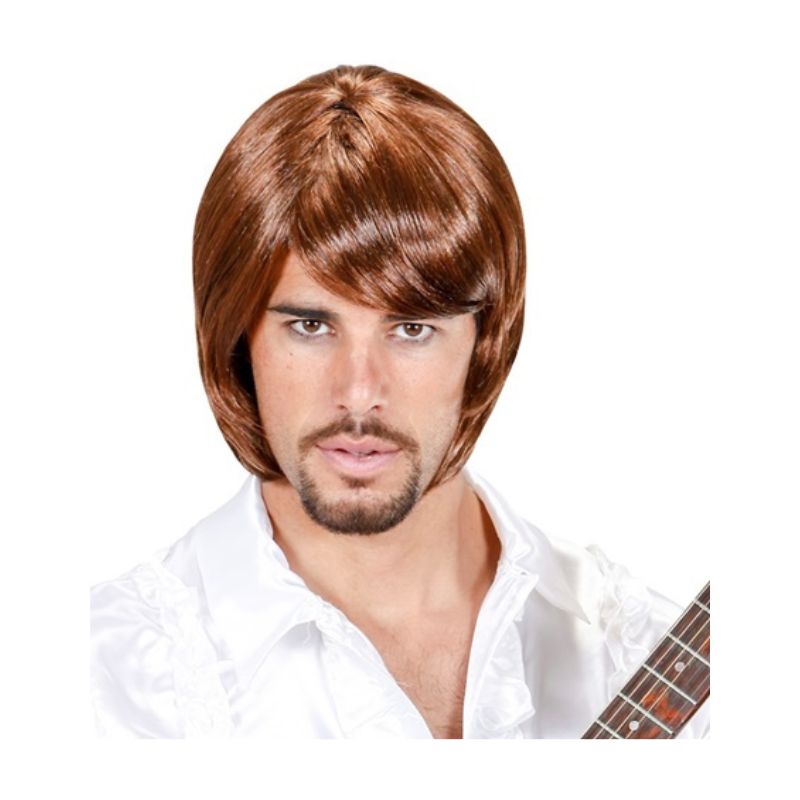 70s Pop Star Bjorn Wig